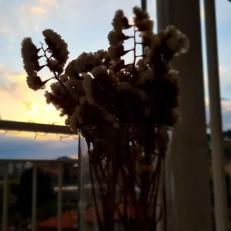 Casetta Robinie Комо